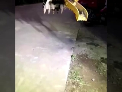 Nhà máy tùy chỉnh hoàn toàn mới mini excavator thủy lực nắm lấy xô để bán