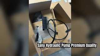 Máy bơm động cơ quạt thủy lực Sany 60248398 Phụ tùng chất lượng cao